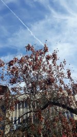 IMG_20230119_132733_775.jpg