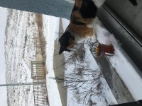 0C21412A-5547-42DA-84C8-6E086880E609.jpeg