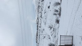 2CBE8AC7-CEAD-4C20-84AF-099616DCED78.jpeg