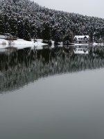 IMG_20230318_132451.jpg