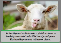 kurban.png
