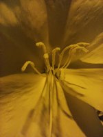 IMG_20230630_224705.jpg