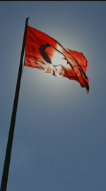 S31029-17313958(1).png