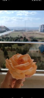 Screenshot_2024-08-07-01-02-37-248_com.miui.gallery.jpg