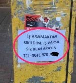 images (19).jpeg