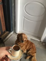 2FE10300-8FEF-410B-A47F-3965C6592997.jpeg