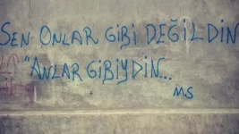1747601343844.png