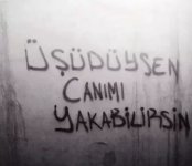 Ekran görüntüsü 2025-06-05 153117.jpg