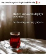 images (11).jpeg