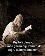 images (13).jpeg