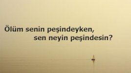 5fdf0d4a55427e080cae9bd5.jpg