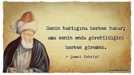 images (18).jpeg