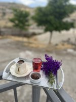 IMG_0049.jpeg