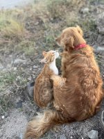IMG_0061.jpeg