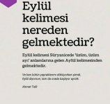 Screenshot_20250904_180425_Pinterest.jpg