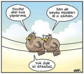 08133644_KOMYKKKLLKK.jpg