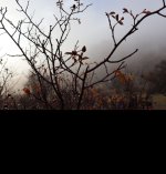 IMG_20251224_213918.jpg