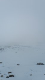 IMG_20260208_110418.jpg