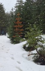 IMG_20260403_010513.jpg