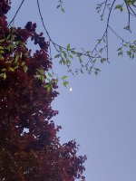 20260423_200832.jpg