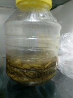 IMG_20260501_224936_030.jpg