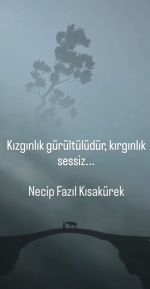 1779125198196.png