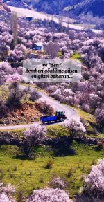 IMG_1532.jpeg