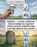 IMG_7505.jpeg