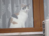IMG_0315.JPG