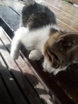 20201006_111506.jpg