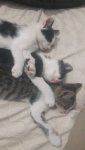 20201008_210009.jpg