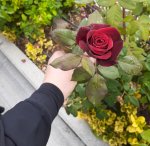 20201010_182042.jpg