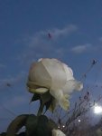 20201014_183441.jpg