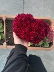 20201016_092829.jpg