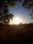 20201016_172930.jpg