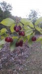 20201015_165104.jpg