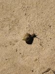 PSX_20201018_231015.jpg