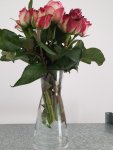 20201021_122420.jpg