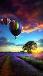 balloons-dd9e7c04-5f59-3a5e-ad96-ba05ff50796a.jpg