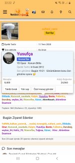Screenshot_20201026-222230_Samsung Internet.jpg