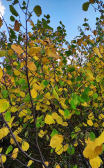 20201030_125408.png