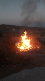 20201102_175001.jpg