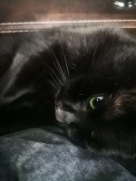 IMG_20201102_184056.jpg