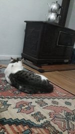 20201106_203537.jpg