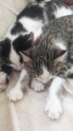20201107_171511.jpg