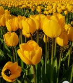 20201107_212840.jpg