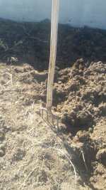 20201108_124543.jpg