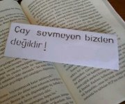 tumblr_oq15v0WptS1rlf9gso1_400.jpg