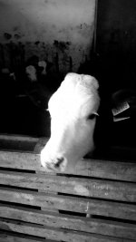 IMG_20201209_153720_018.jpg