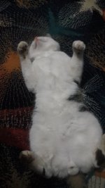 20201209_205114.jpg